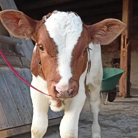 Farma U Nydrlu