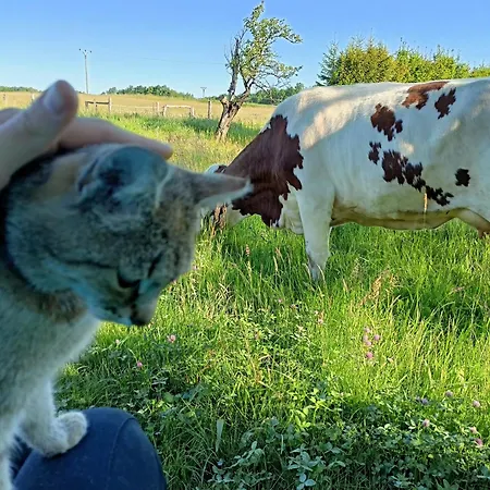 Bauernhof Farma U Nydrlu *