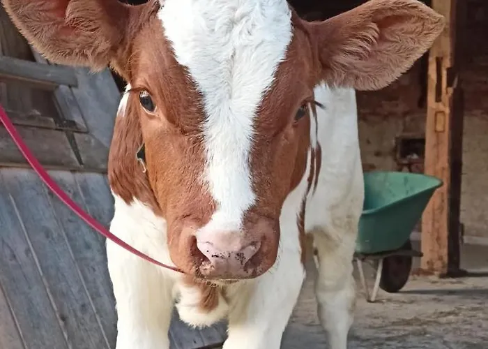 Farma U Nydrlu