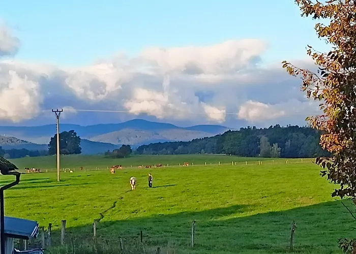 Bauernhof Farma U Nydrlu *