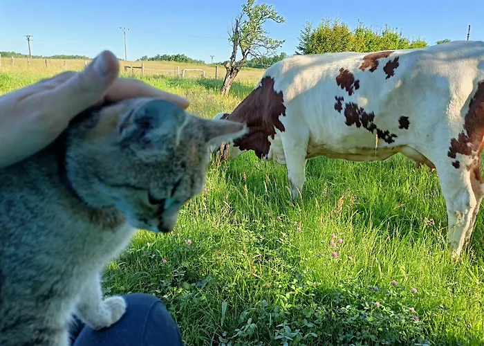 Bauernhof Farma U Nydrlu *